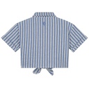 Charlie Petite - Georgie Blouse (Streepjes) 