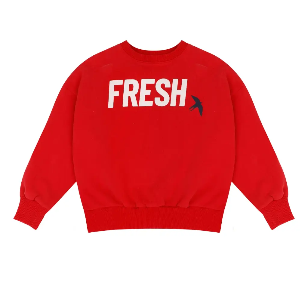 Jenest - Fresh sweater 